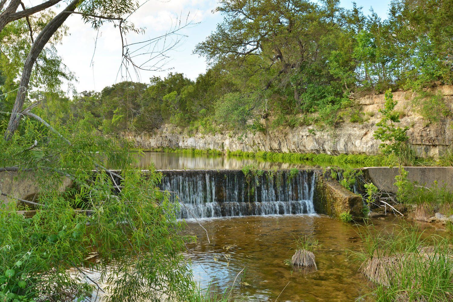Realtors in dripping springs
