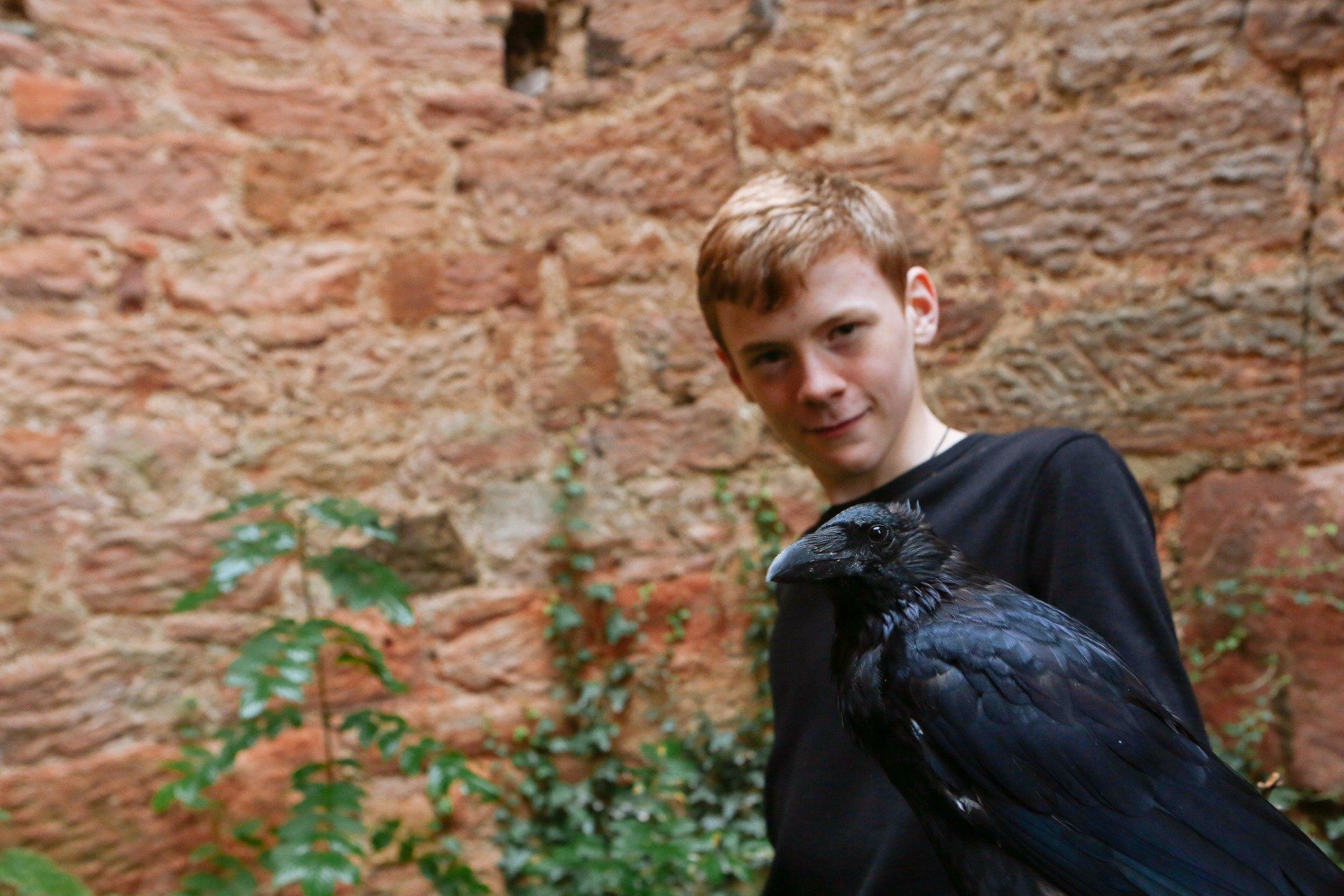 a young boy is holding a black bird in his arms .