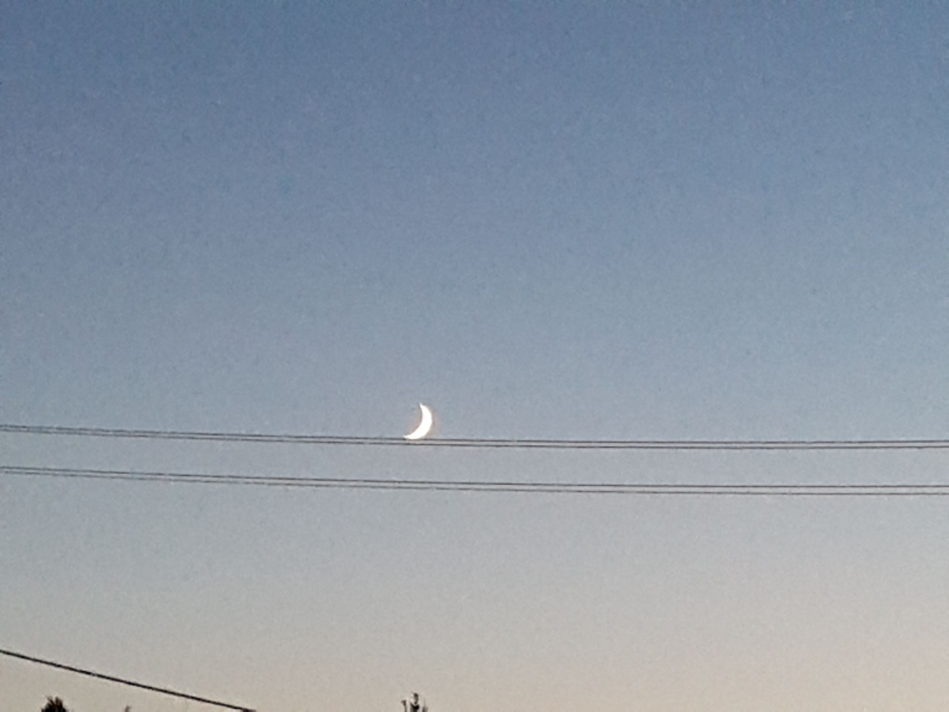 Crescent moon in a blue sky above power lines.