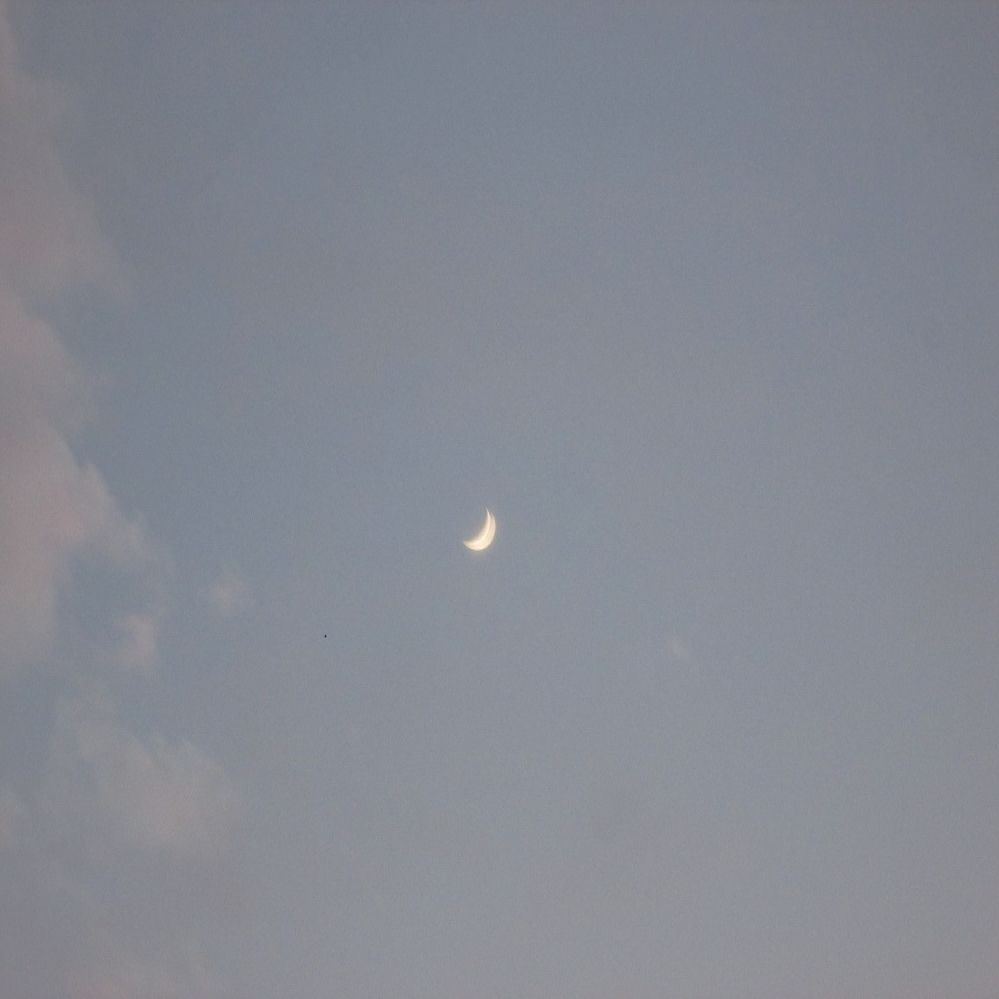 Crescent moon in a pale blue sky.