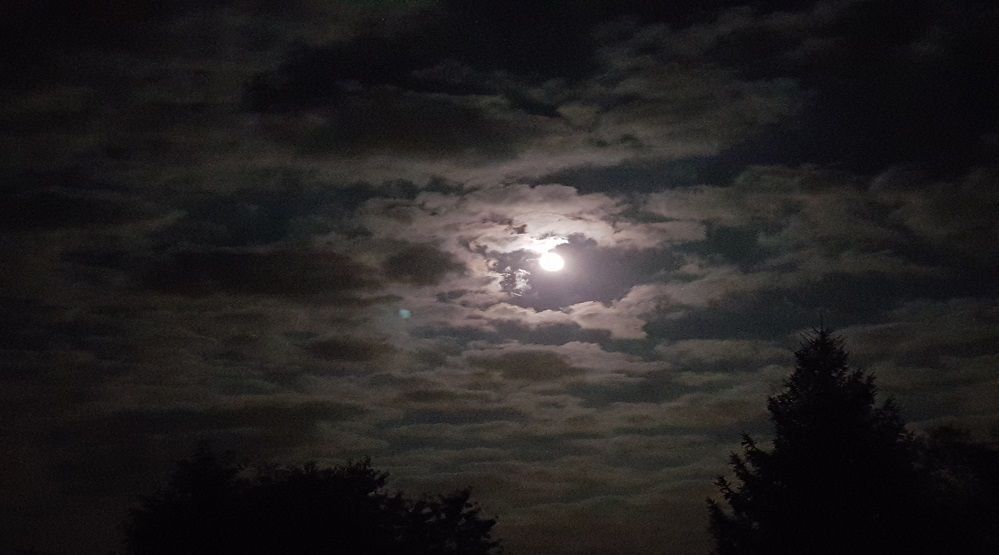 Moon peeks through dark, cloudy night sky above silhouetted trees.