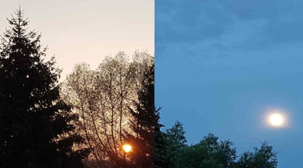 Sunset on the left, moonlit sky on the right, trees silhouetted, sun and moon visible.
