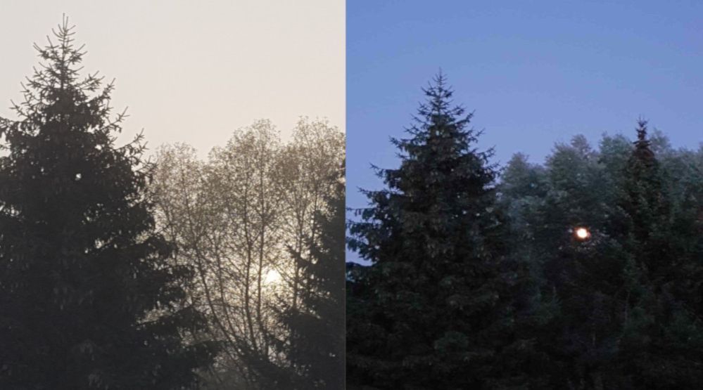 Two side-by-side images of trees. Left: trees silhouetted against a hazy, bright sky. Right: trees against a darker sky with a bright orb.