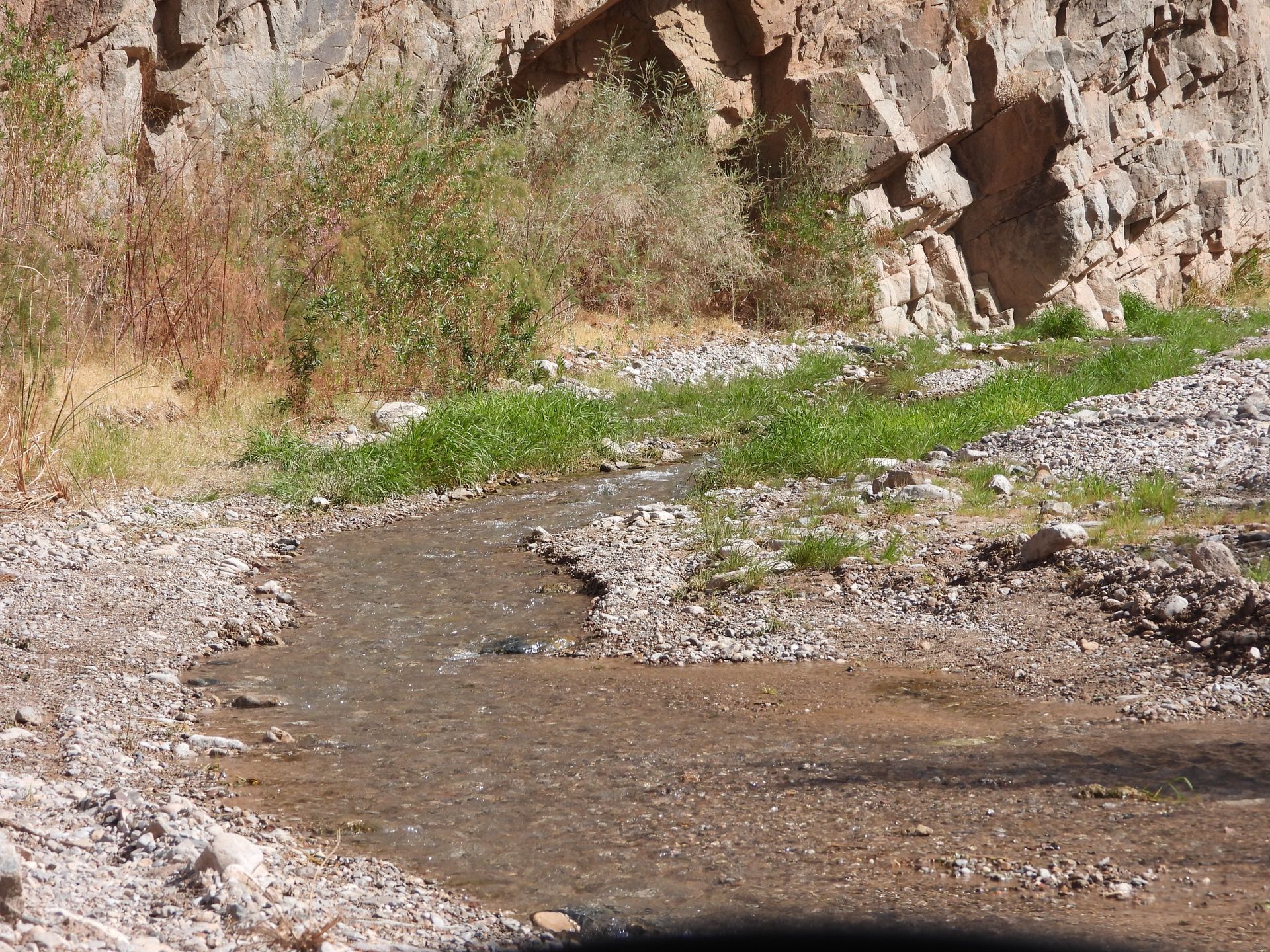 Stream at grand canyon bottom.