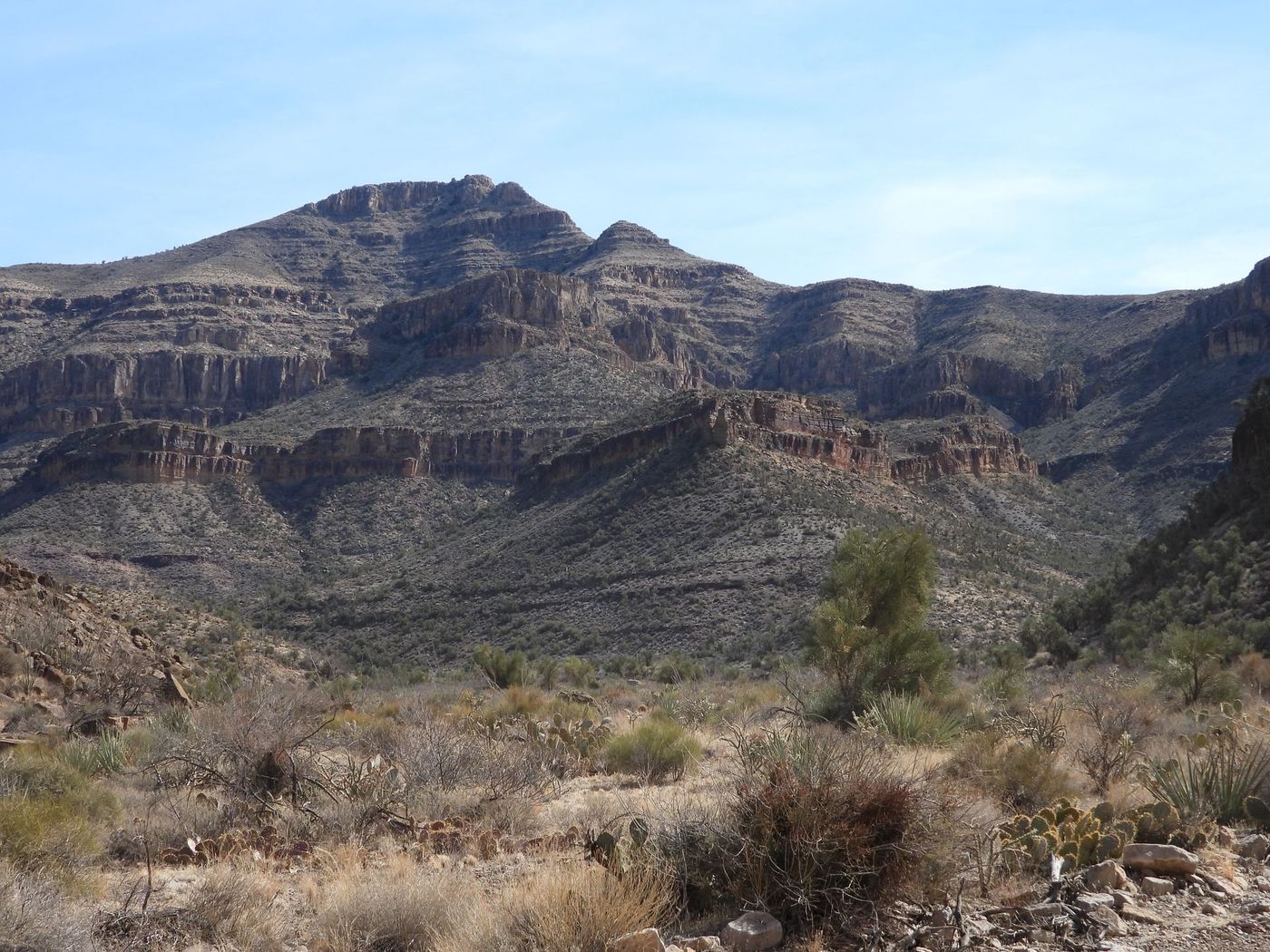 Mountain in peach springs.
