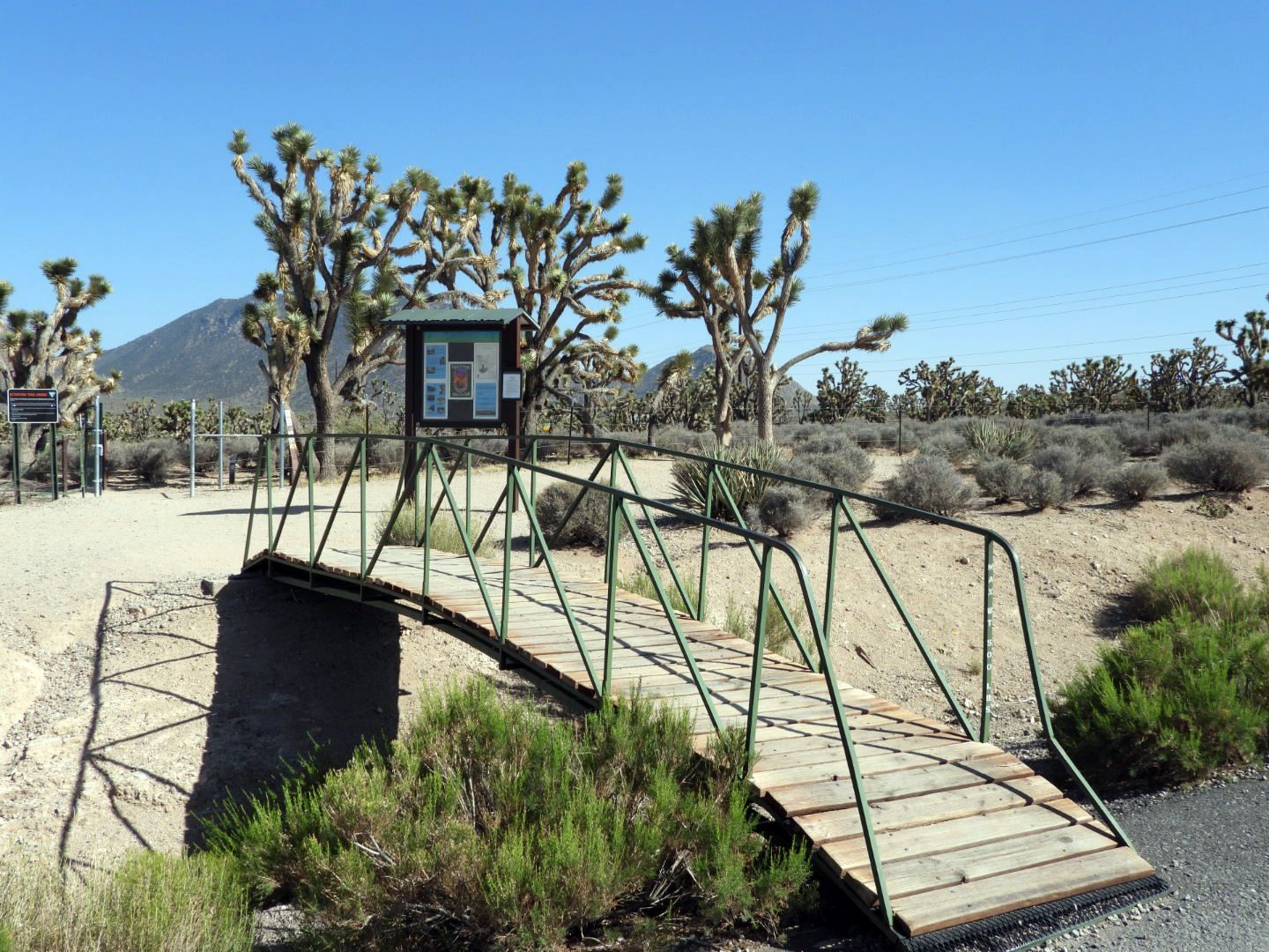 Bridge leading into joshua tree forest with sign and mountain.