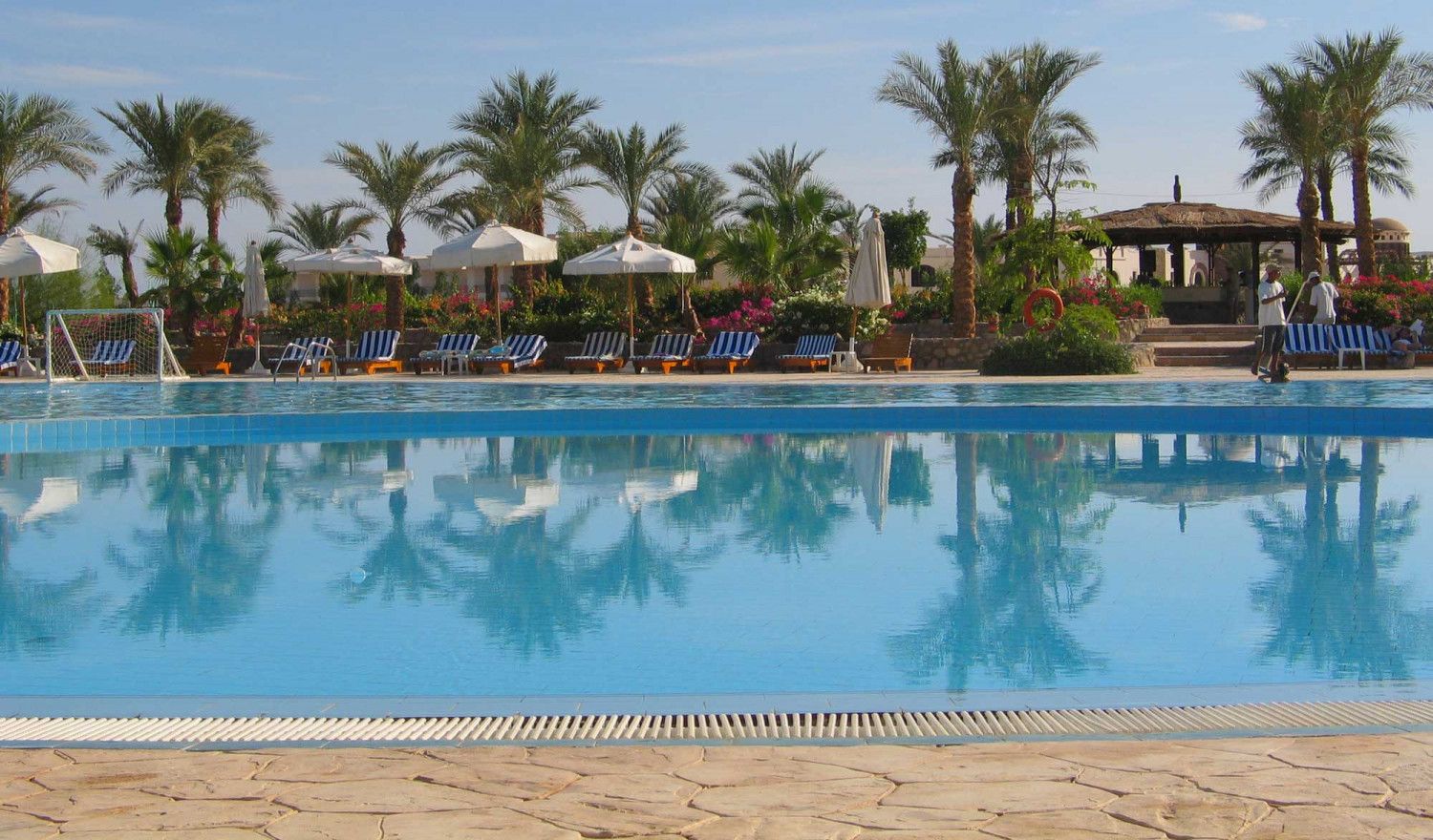A large swimming pool with palm trees in the background