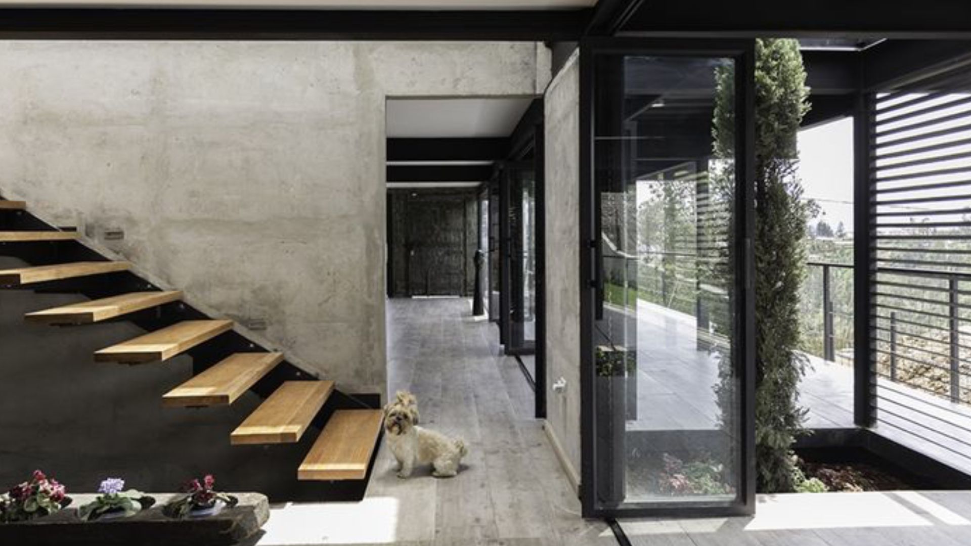 Guasca Servicios Inmobiliarios Edisson Rozo