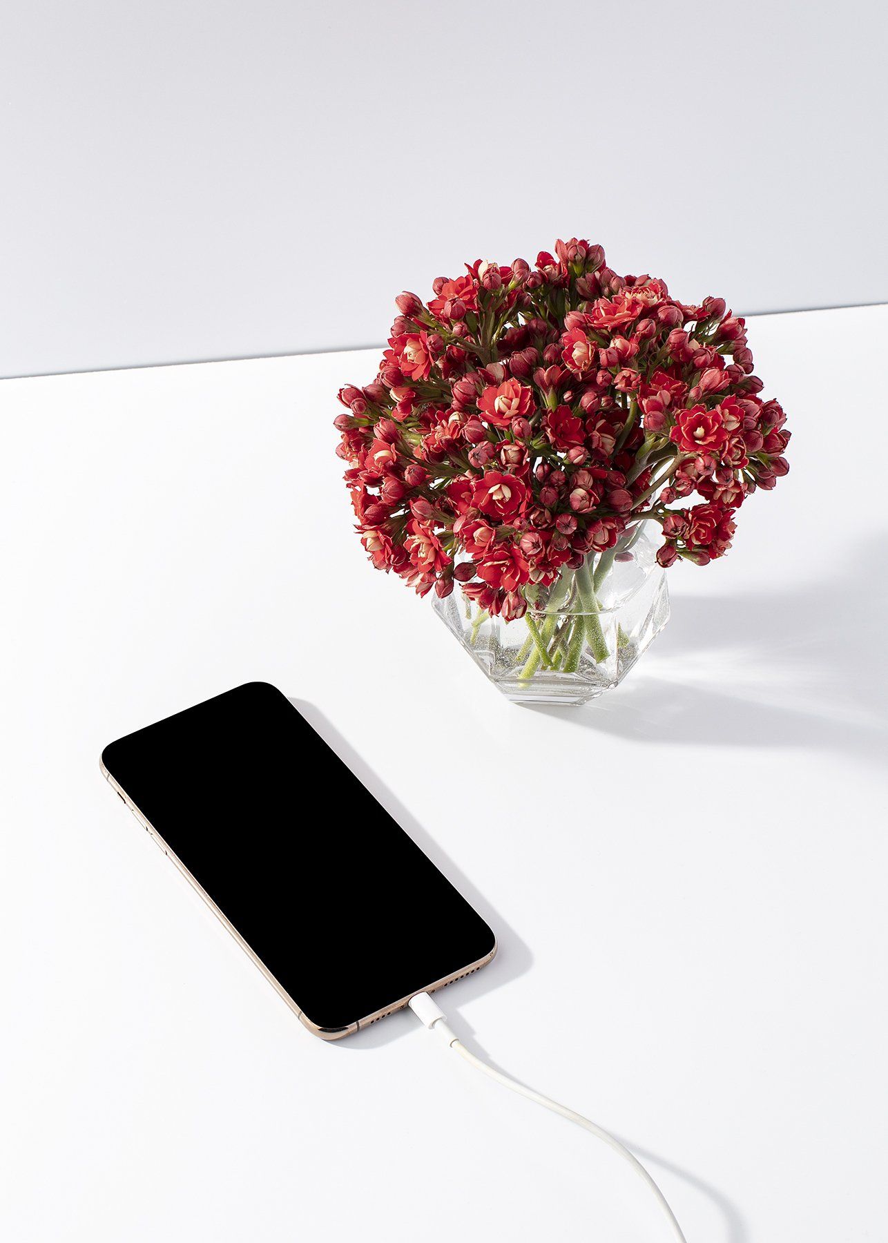 Smartphone charging next to a vase of red flowers on a white surface.