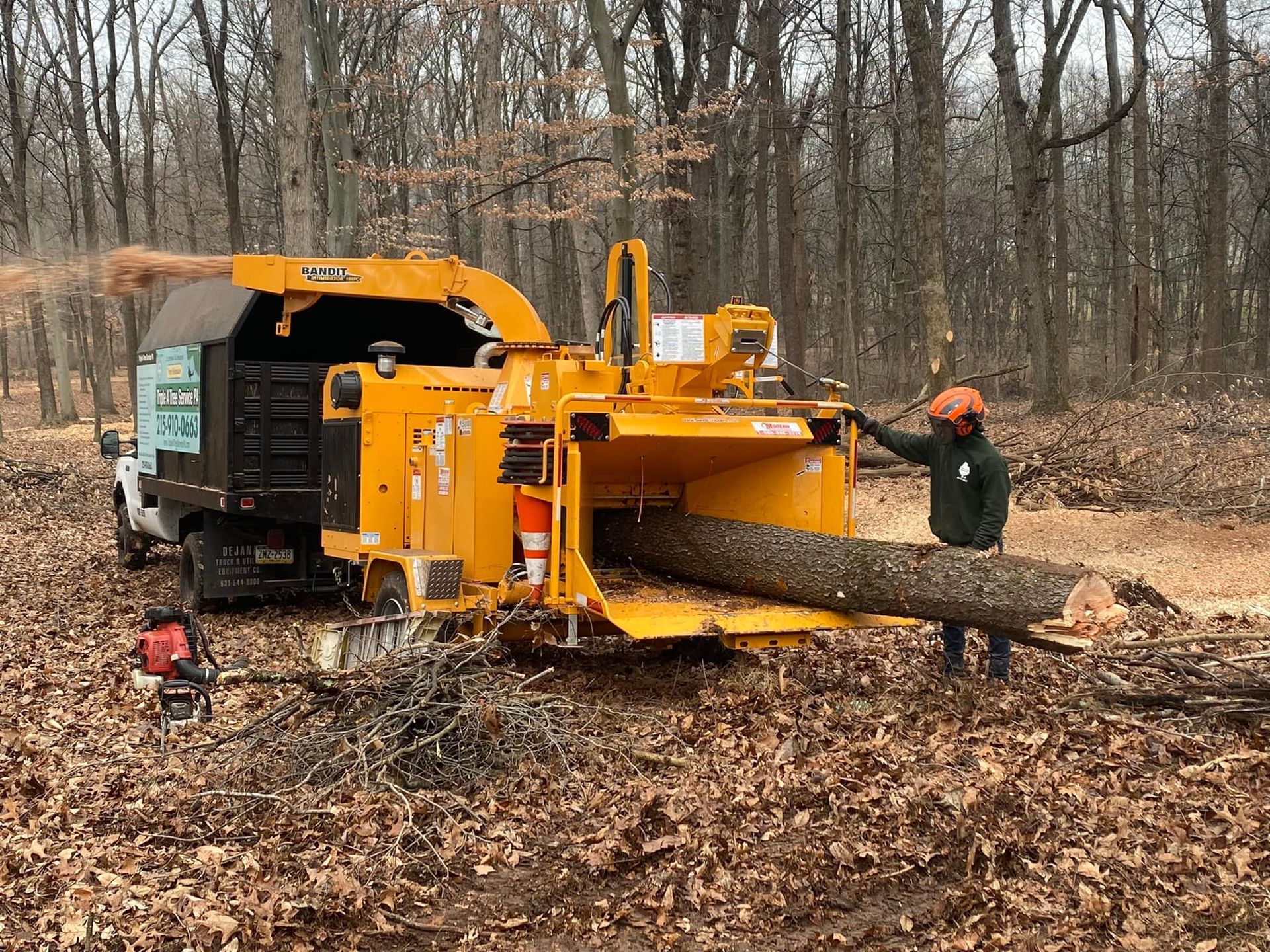 A Man Is Standing Next to A Tree Chipper in The Woods | Collegeville, PA | Triple A Tree Service PA