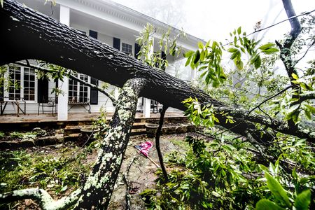 Emergency Storm Services | Collegeville, PA | Triple A Tree Service PA