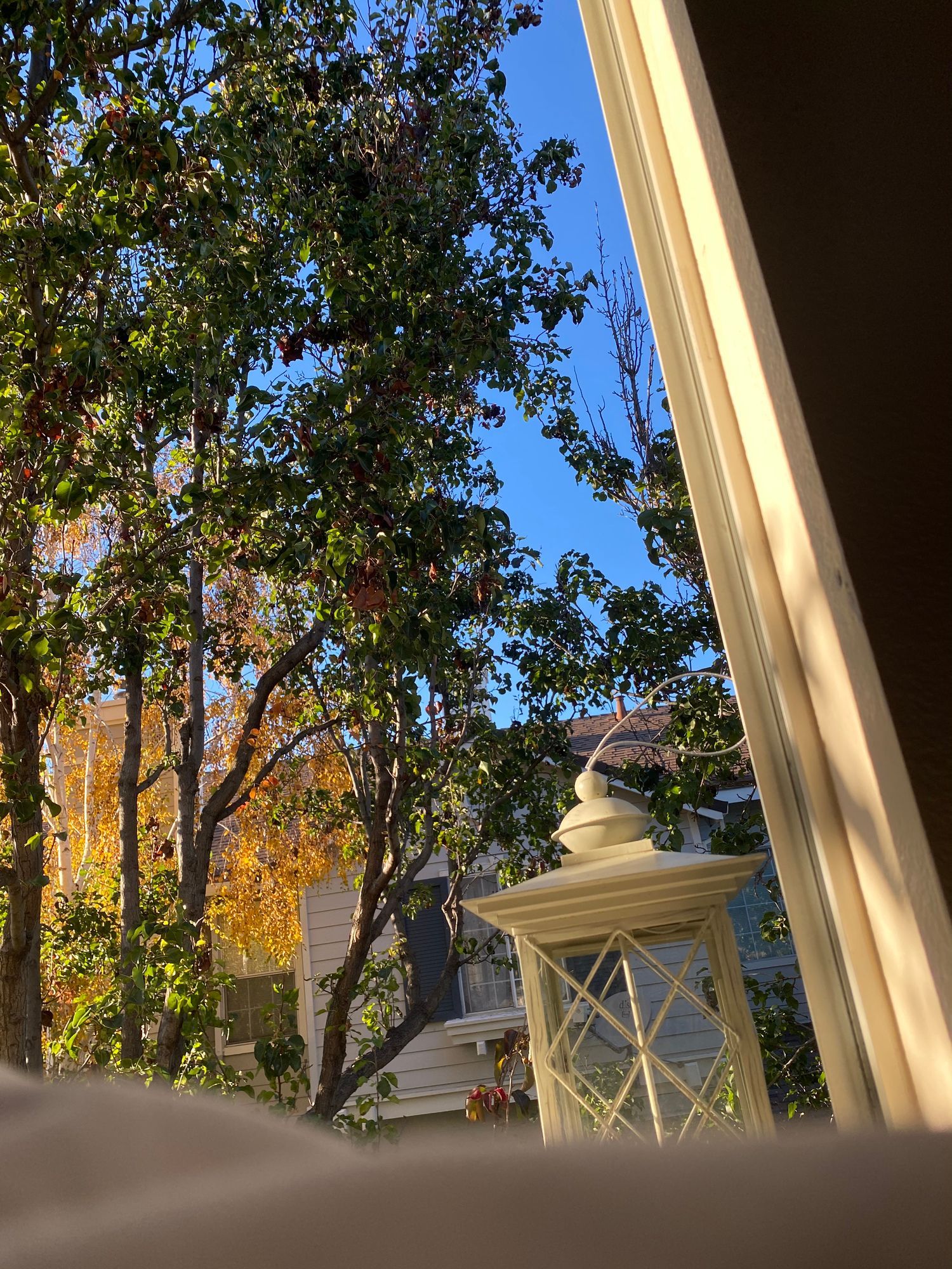 a lantern is sitting in front of a window with trees in the background .