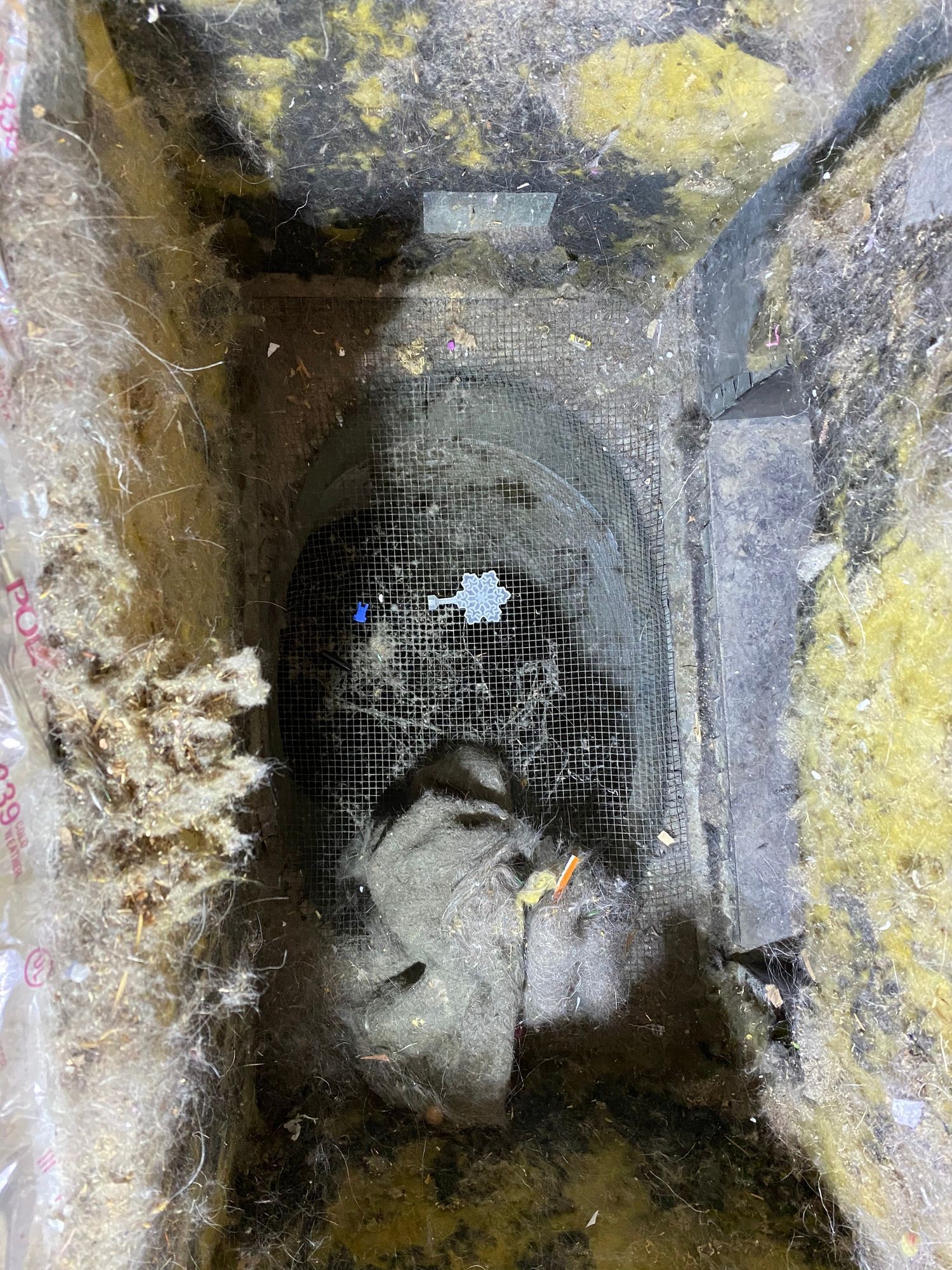 a close up of a drain in a hole in the ground .