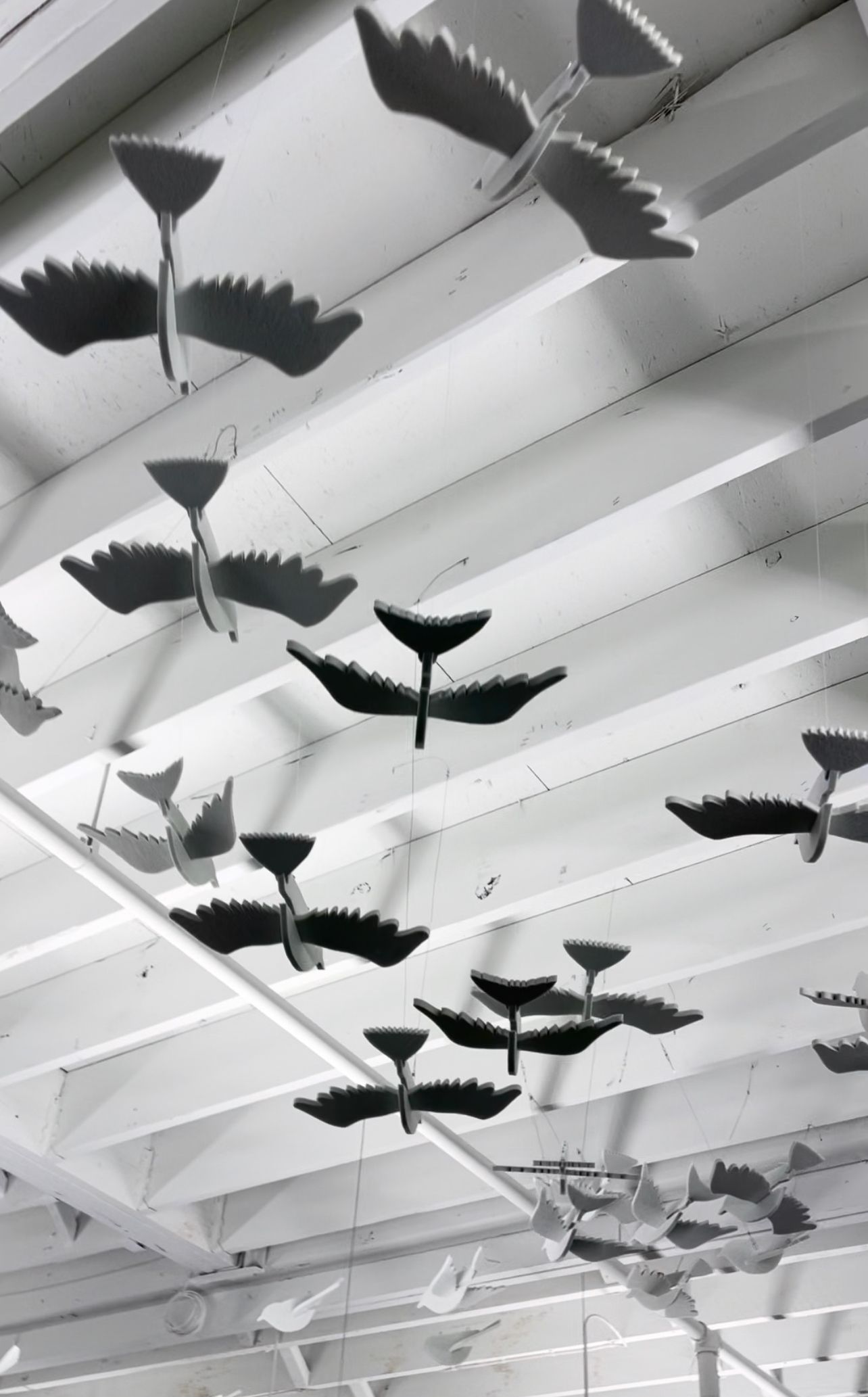 Acoustic & Dry Erase Solutions Chattanooga, TN