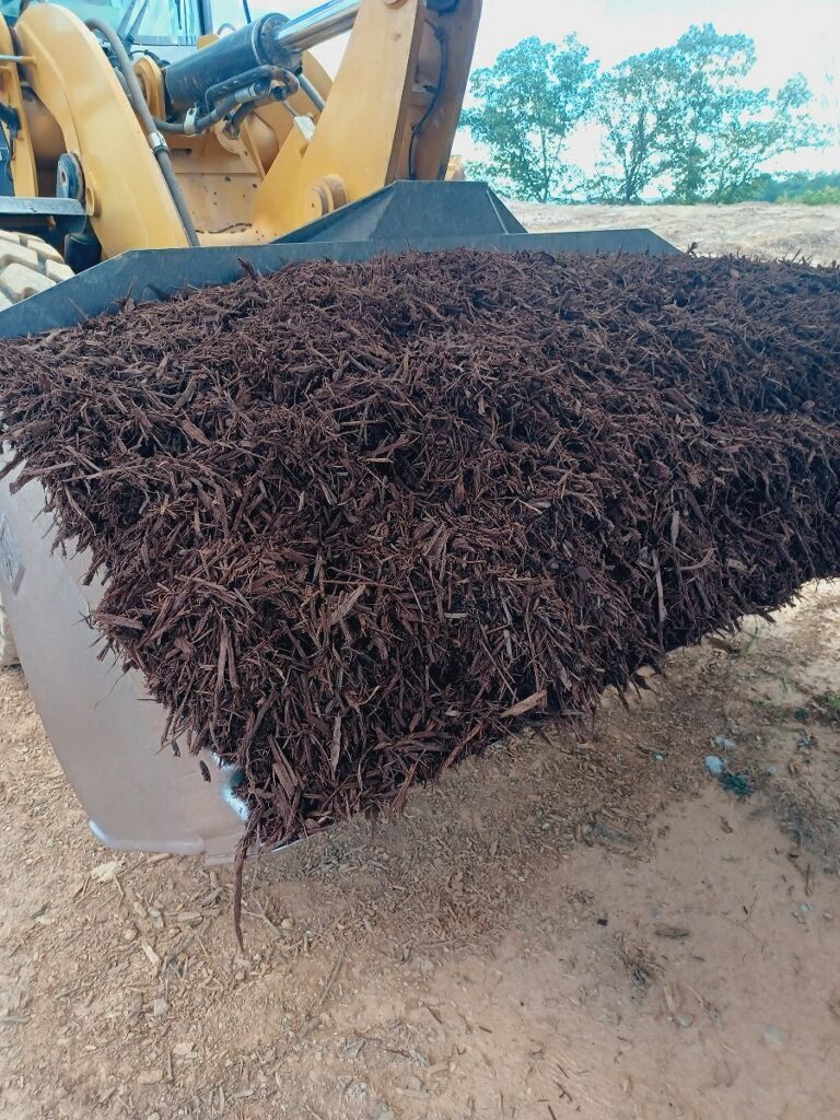 Inert Landfill Gainesville, GA