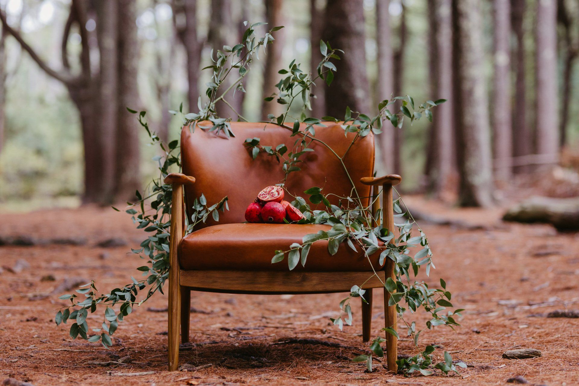 Chair with leaves and pomegranates on it in the forest, Kink-aware therapy for all folks in Massachusetts