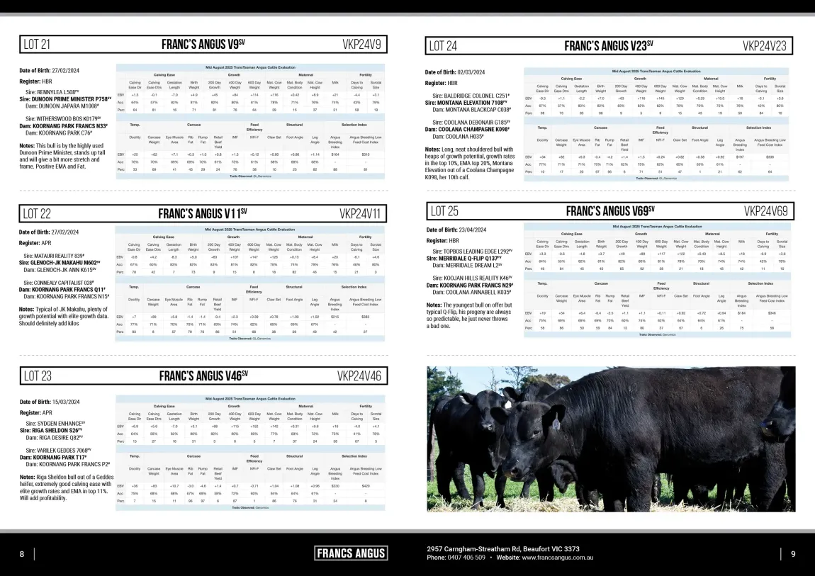Francs Angus On-Farm Spring Bull Sale 2025 