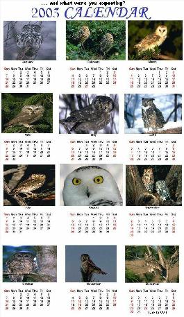 Convertible Tops Service — Hooters Calendar in Ocean View, NJ