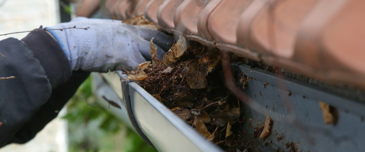 Clogged Gutter