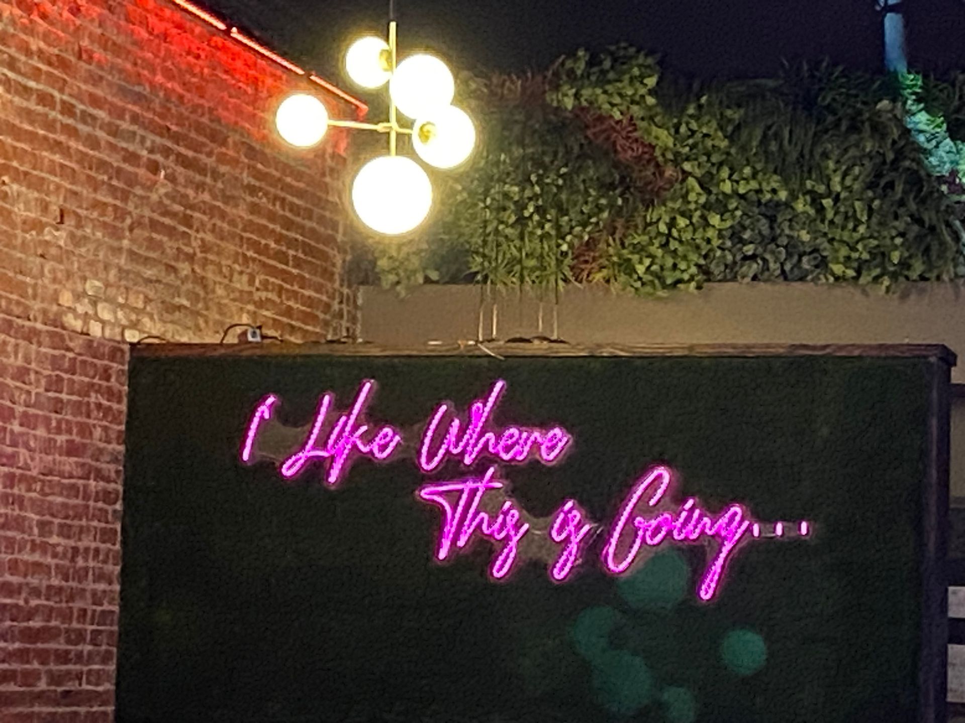 Nova SJ I like where this is going neon