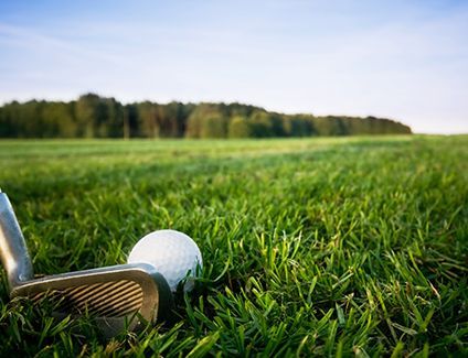 A golf ball and a golf club are laying in the grass on a golf course.