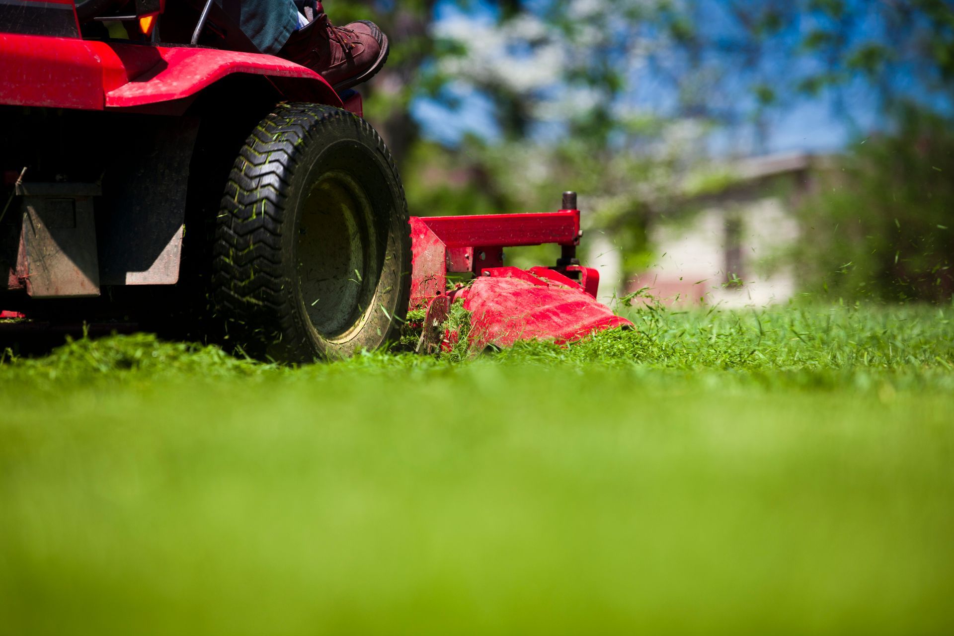 A red lawn mower is cutting a lush green lawn.