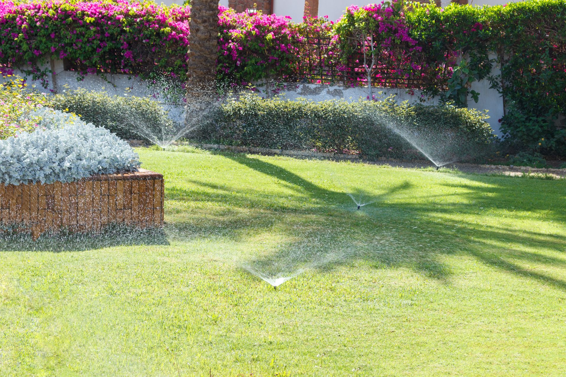 A sprinkler is spraying water on a lush green lawn.