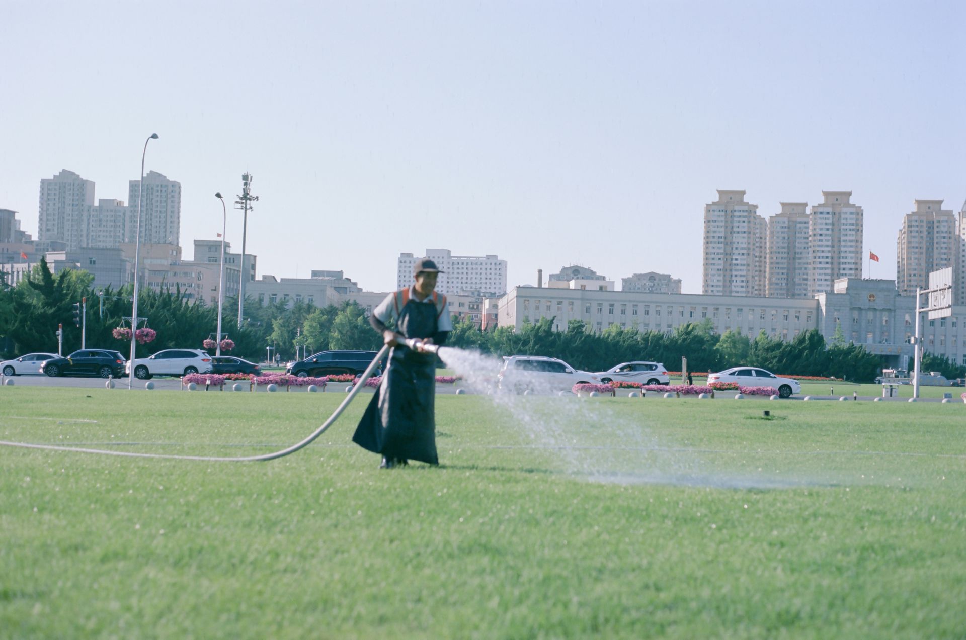man watering lawn with road and buildings behind him