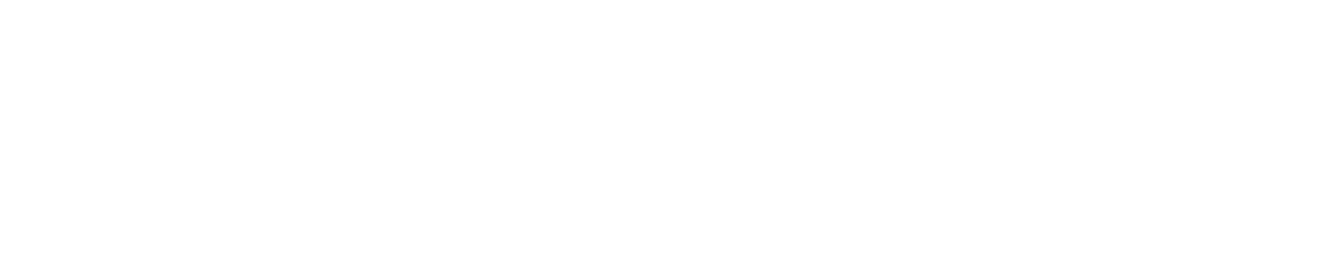 bougie-birch-logo