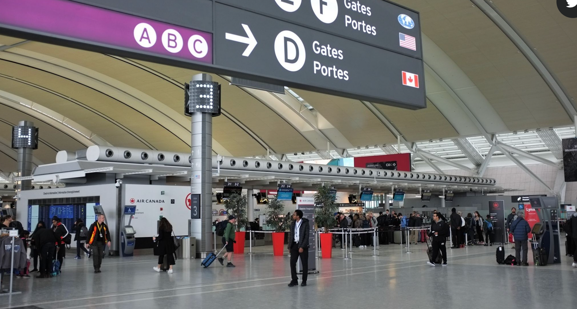 Shuttle or Taxi to YYZ, Toronto Airport