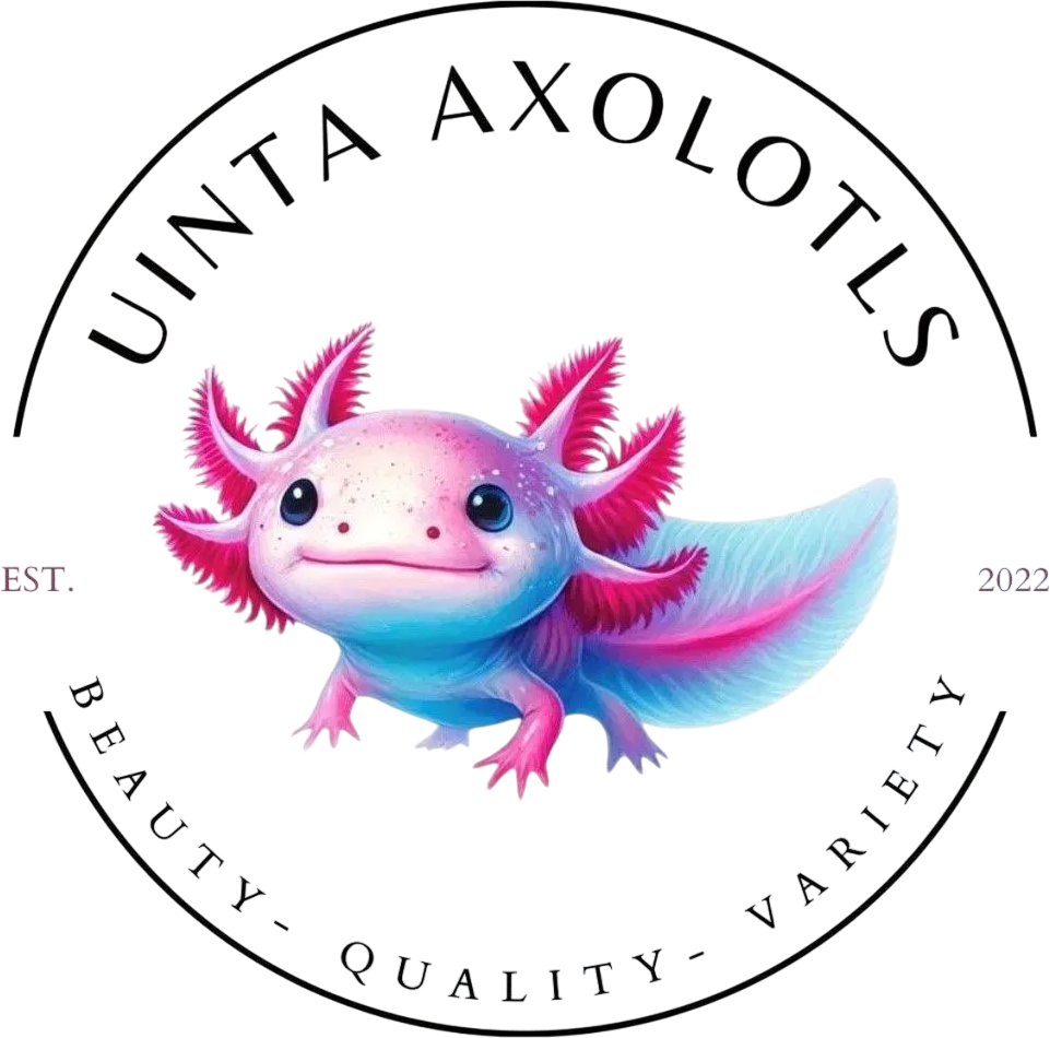 Uinta Axolotls