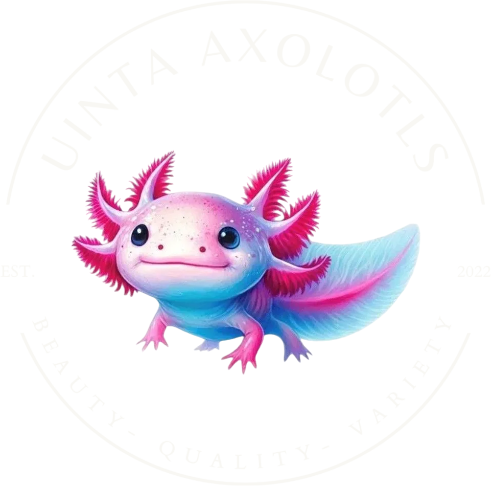 Uinta Axolotls
