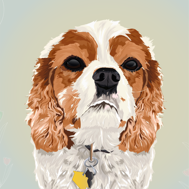 Illustration of a small red and white dog