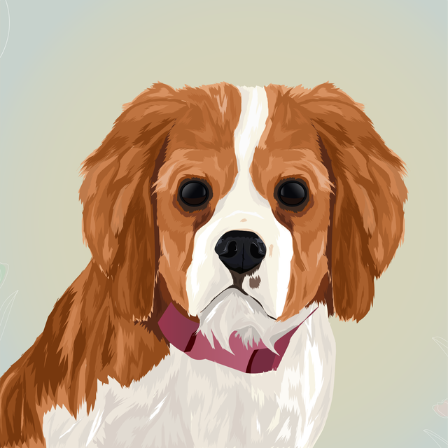 Illustration of a baby red and white dog