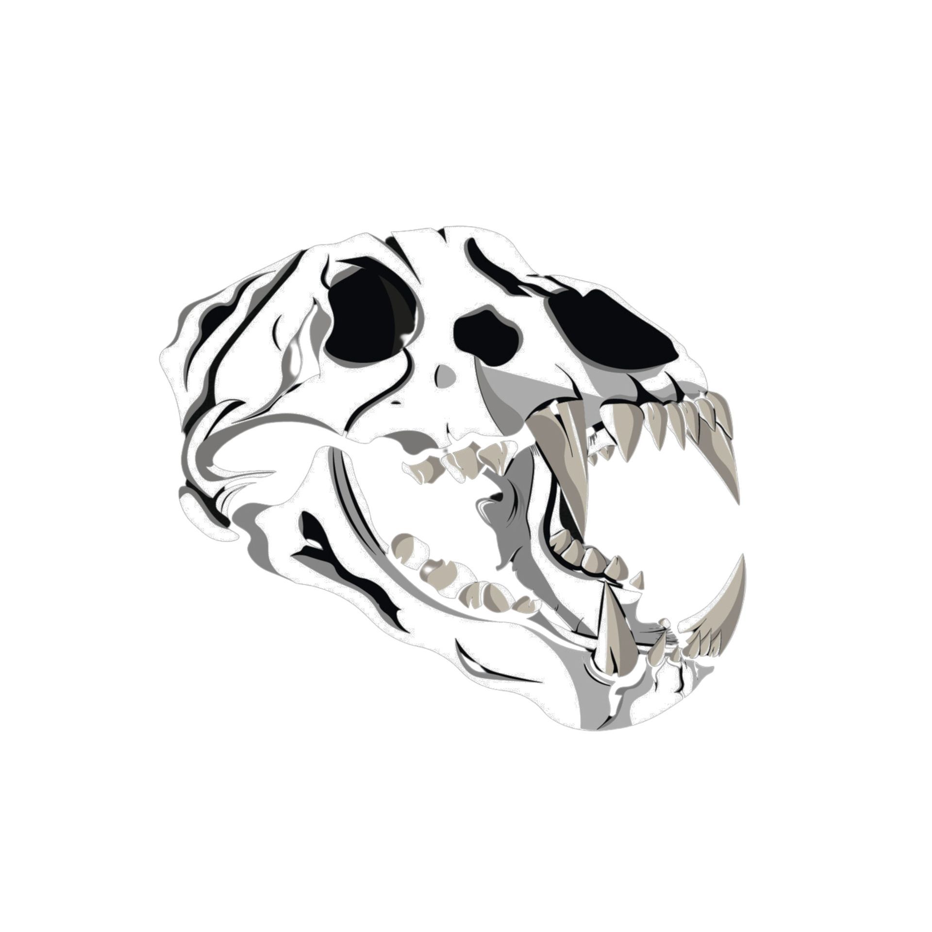 Animal skull illustration