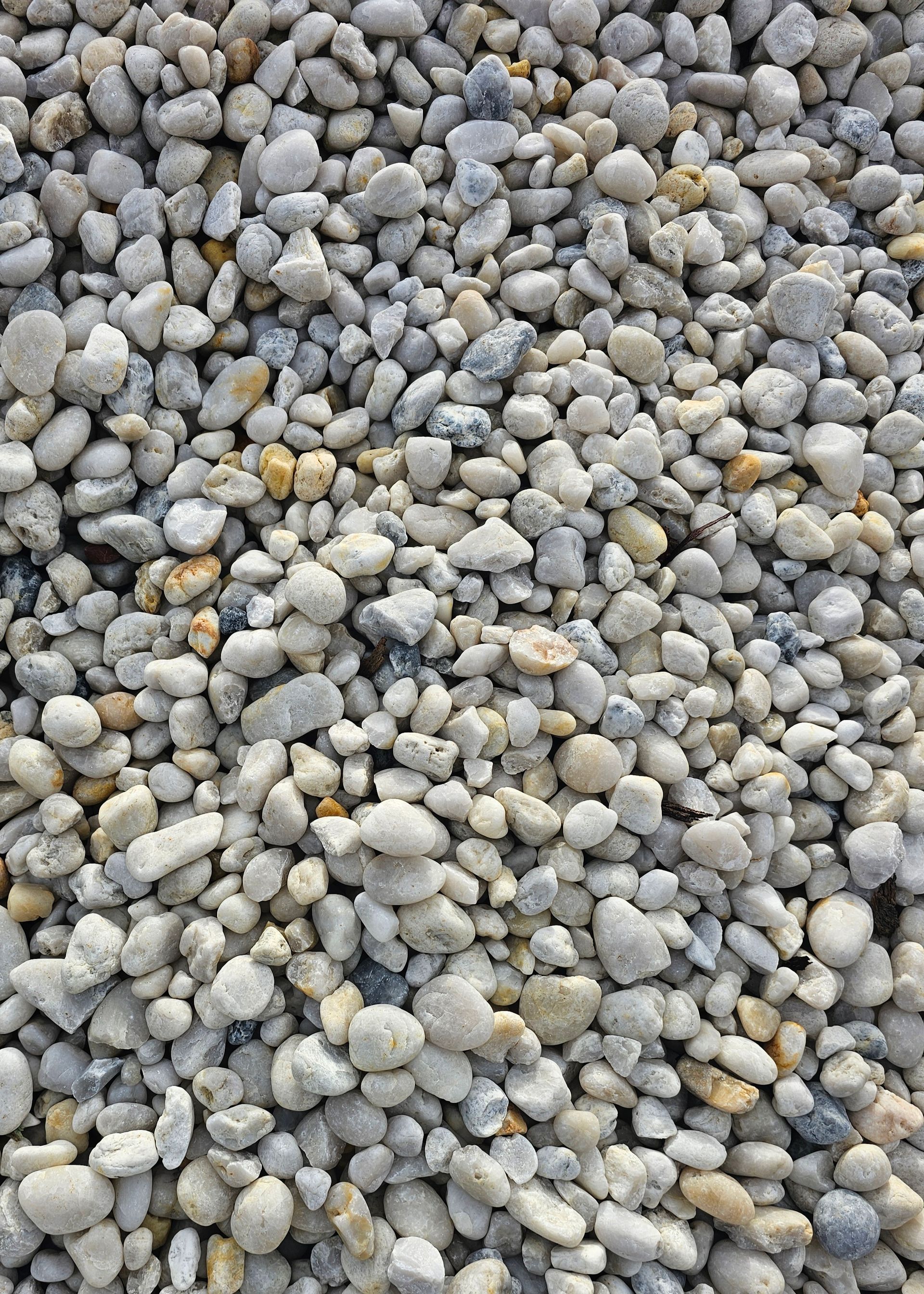 Pile of small, rounded, light grey and tan pebbles - Palms Landscape Supplies in Forster, NSW