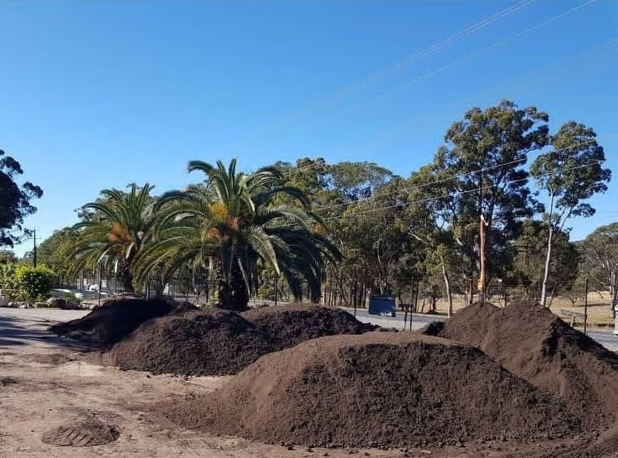 Piles of dark mulch in an outdoor setting with palm and other trees - Palms Landscape Supplies in Forster, NSW