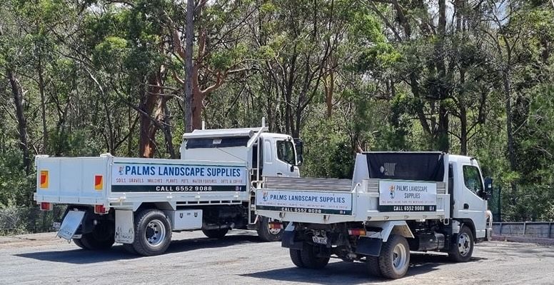 Two white trucks with