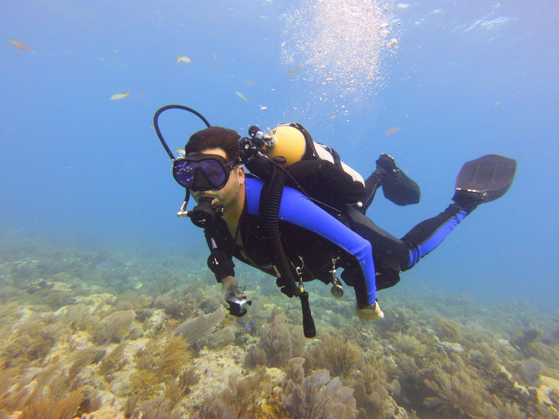 Scuba diver in blue suit and mask, swimming above coral reef.