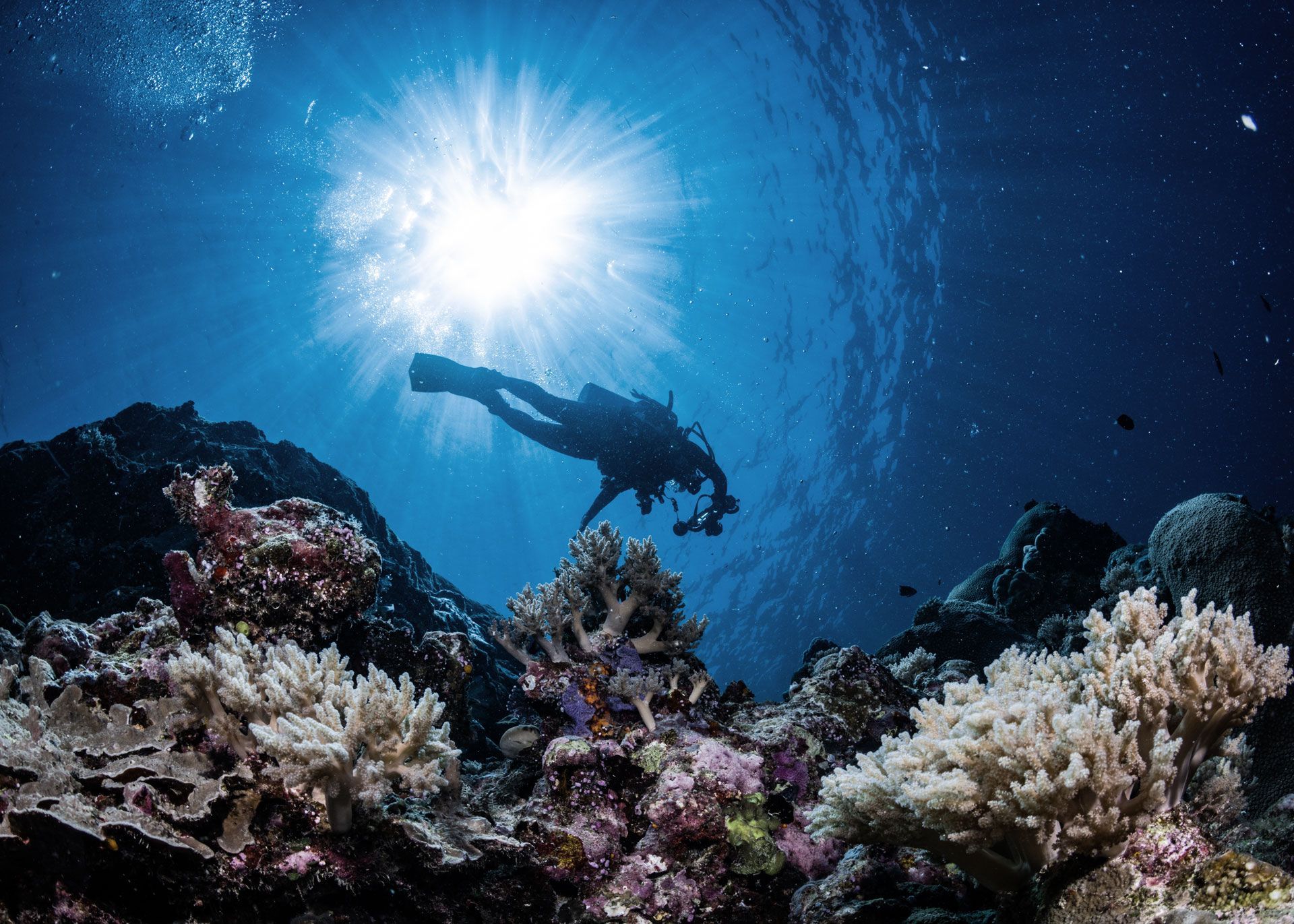 Scuba diver silhouetted against the sun, exploring coral reef underwater.