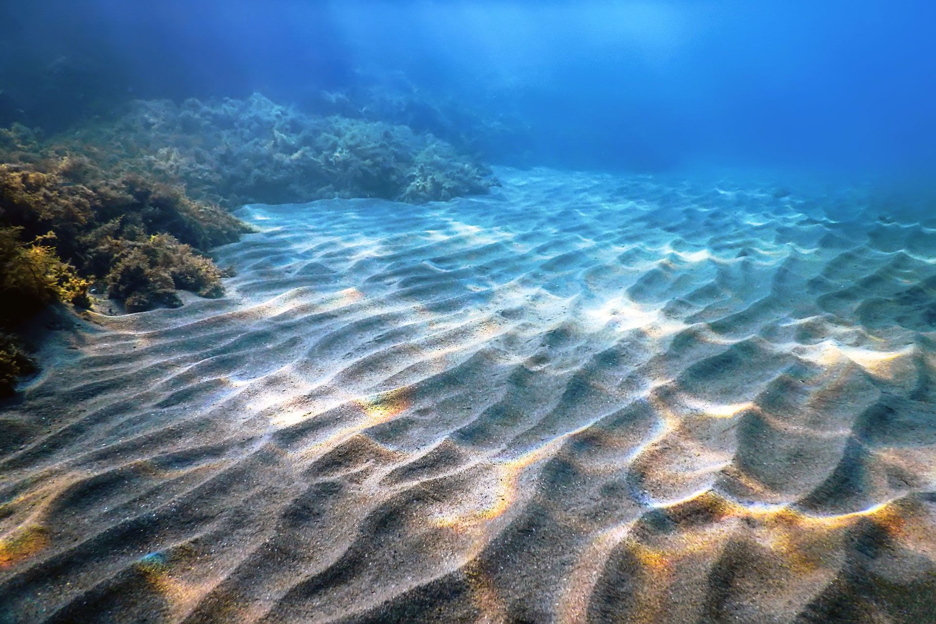 Underwater view of rippled sand bed, near a rocky coral reef, with blue water.