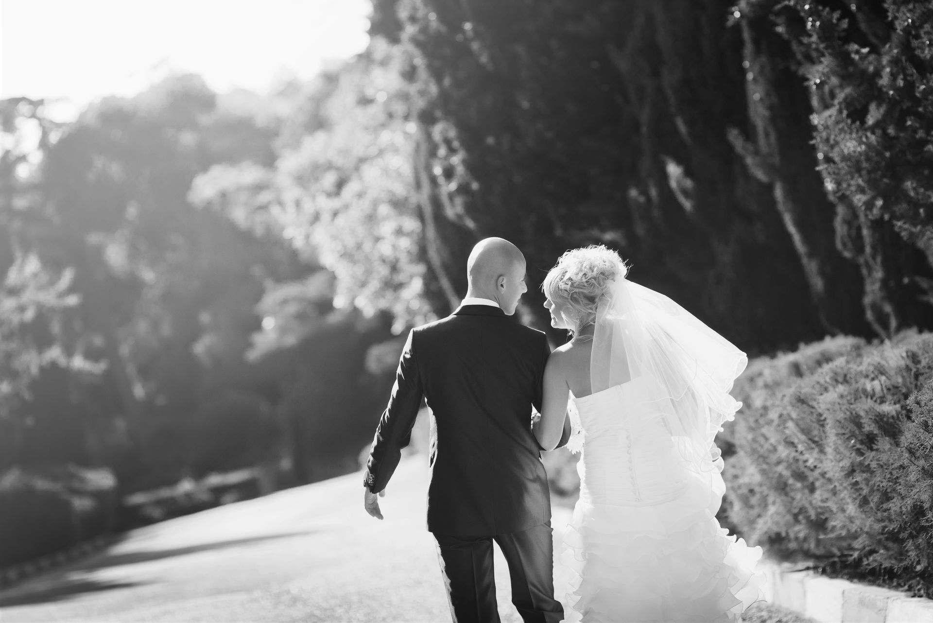 Alpine Travel - Wedding Transport
