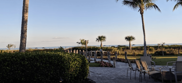 A patio with a view of the ocean and palm trees.