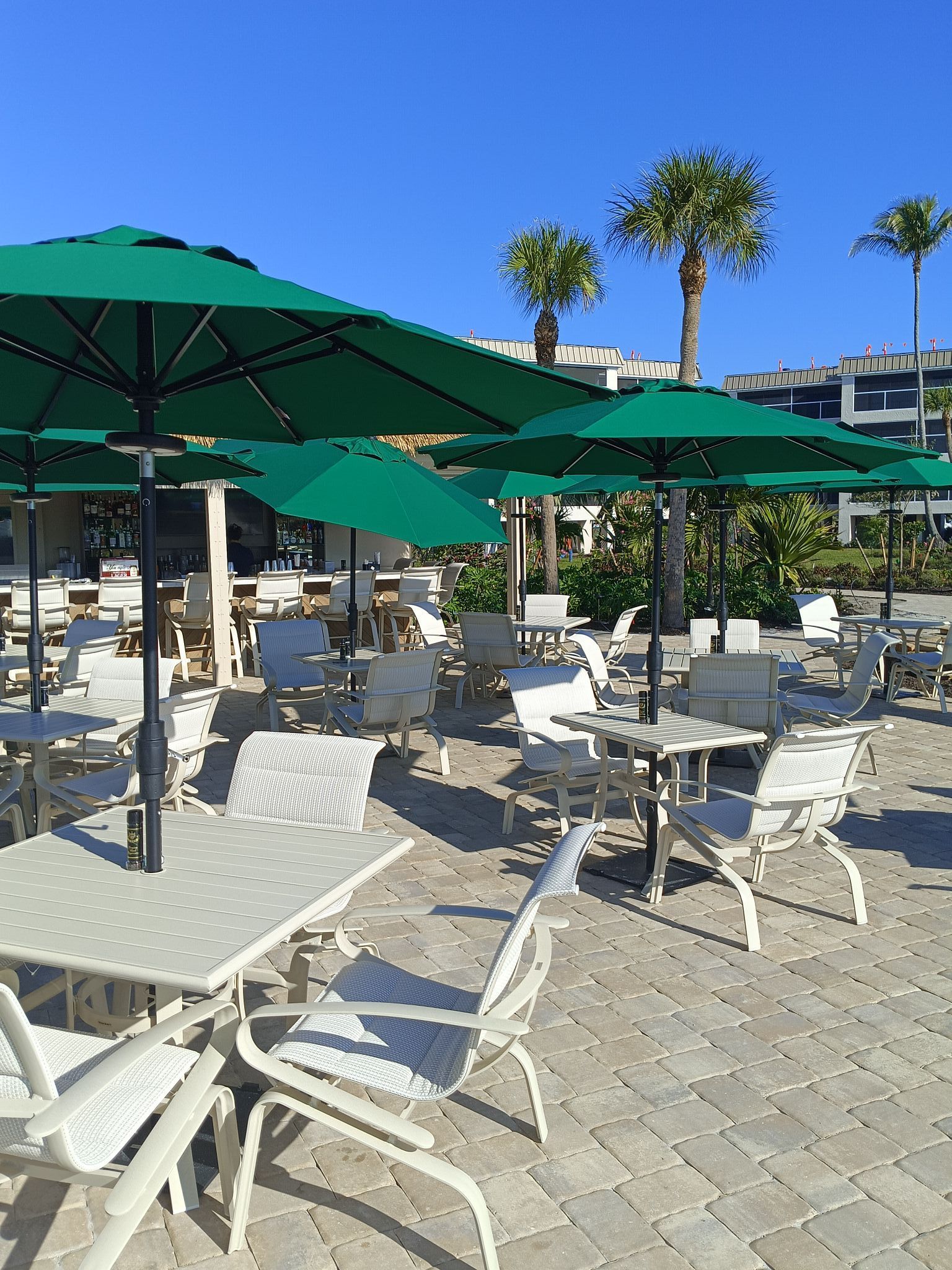 A patio with tables and chairs and green umbrellas on a sunny day.