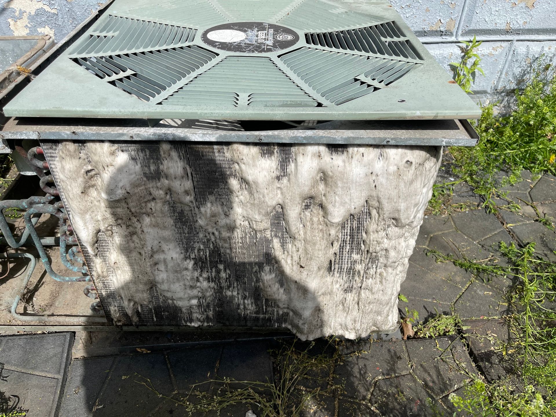 Dirty, old air conditioning unit with a caked-on substance. Green and gray colors with some overgrown vegetation.