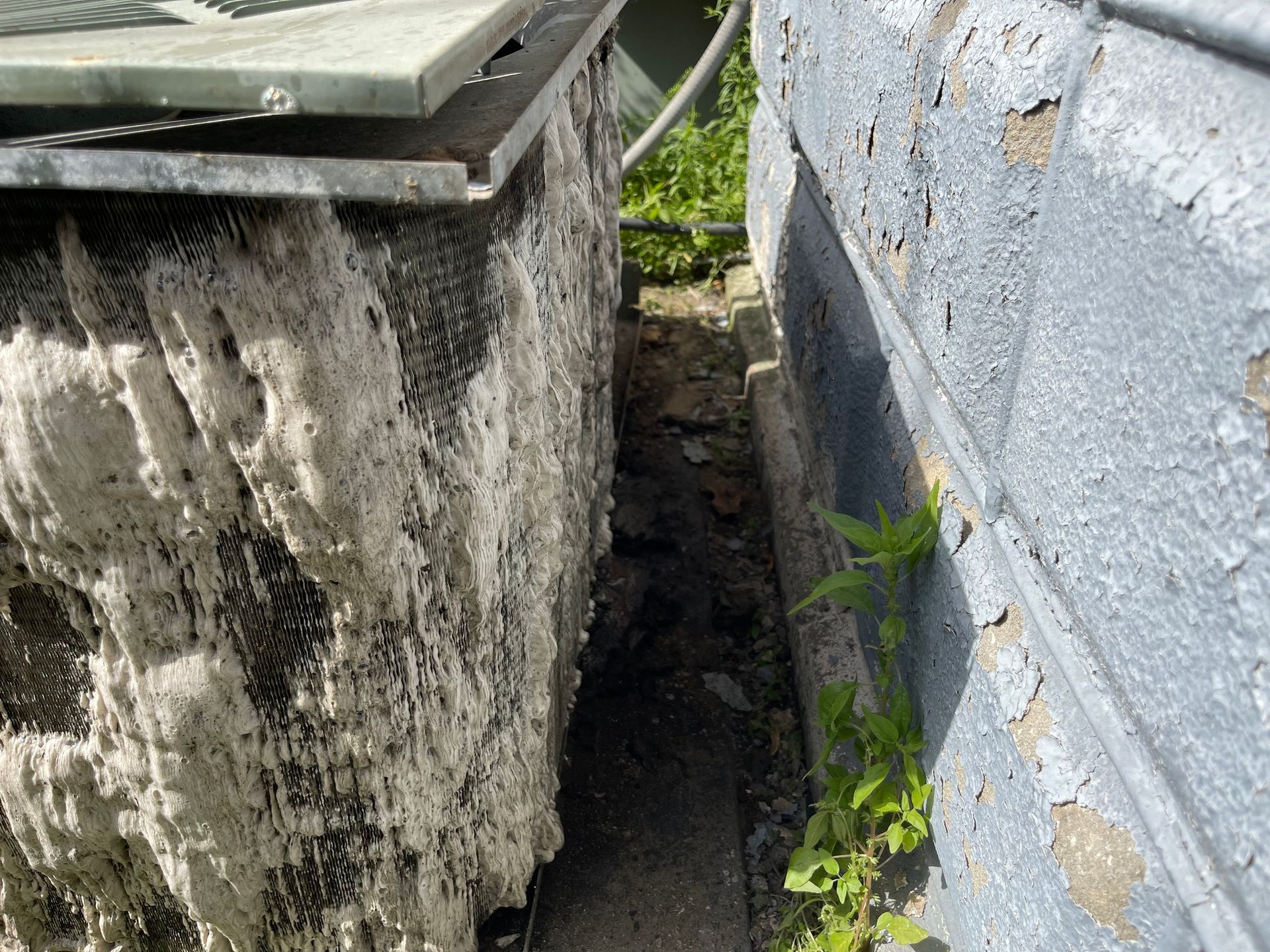 Close view of an air conditioning unit against a gray brick wall, with a narrow gap in between overgrown with weeds.