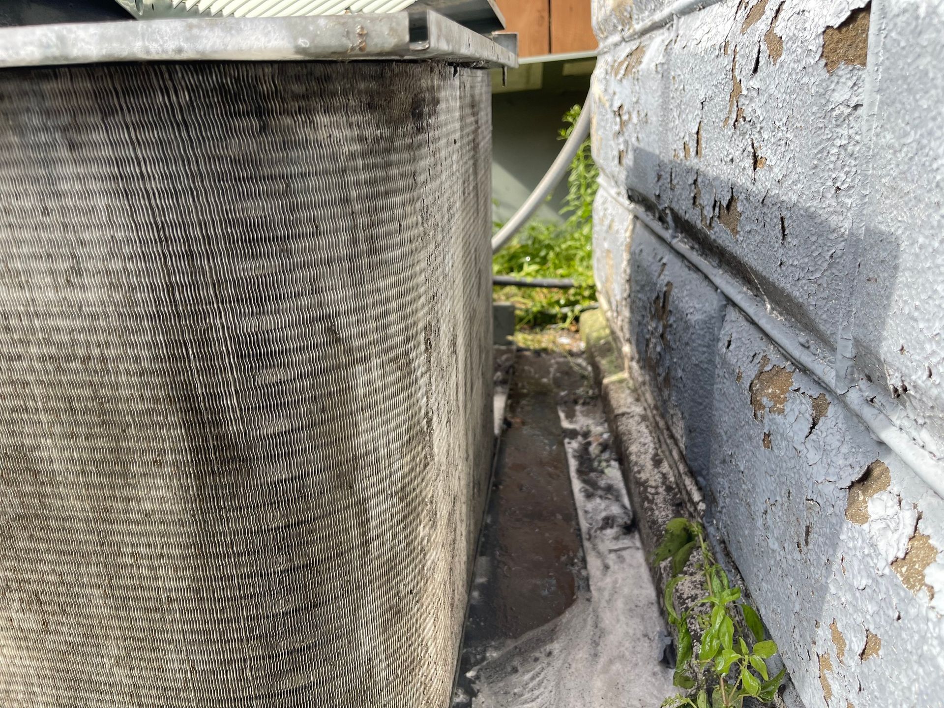 Close-up of a dirty AC unit next to a peeling gray wall with weeds growing at the bottom.