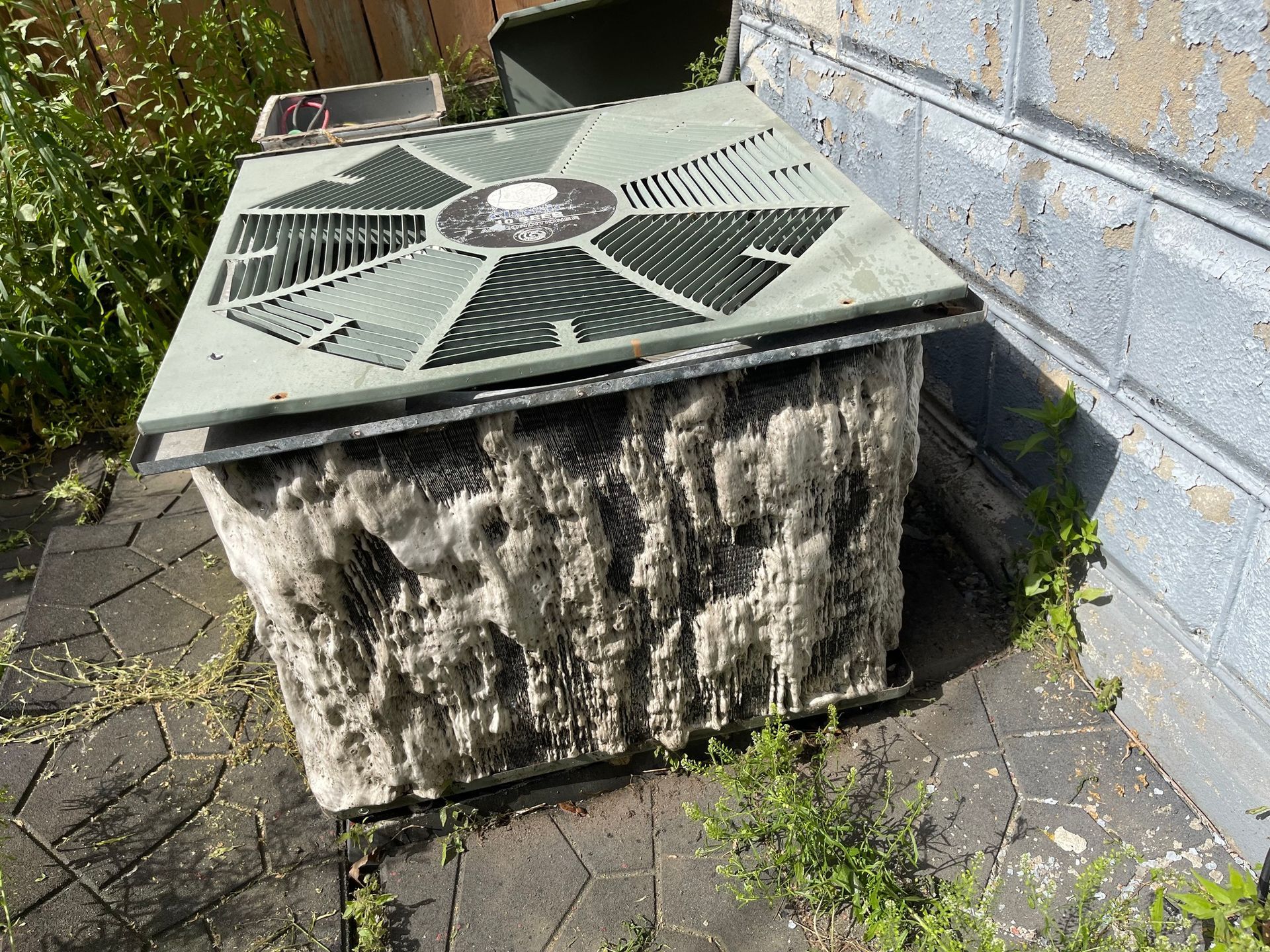 Air conditioning unit covered in white, fuzzy growth next to a brick wall and greenery.