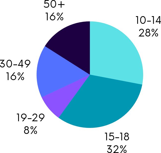 A pie chart showing the percentage of stakeholders by age