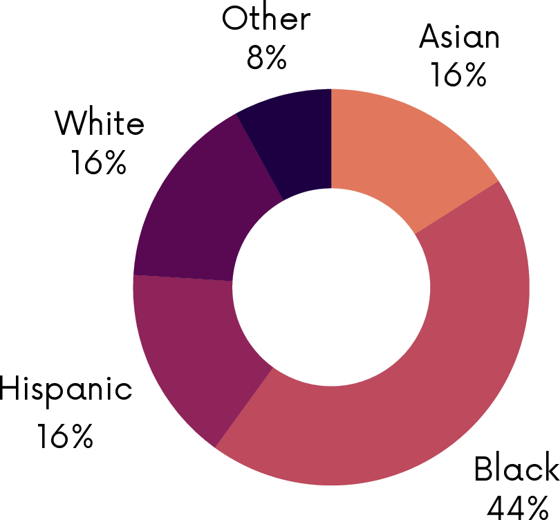 A donut chart showing the percentage of stakeholders of different races.